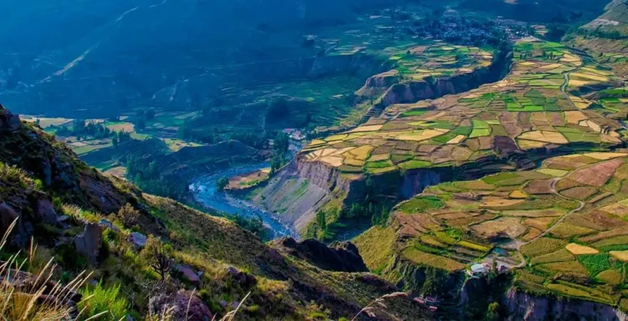 Andean Condor flying over Colca Canyon